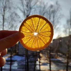 Фруктовые чипсы апельсин, 50 гр.